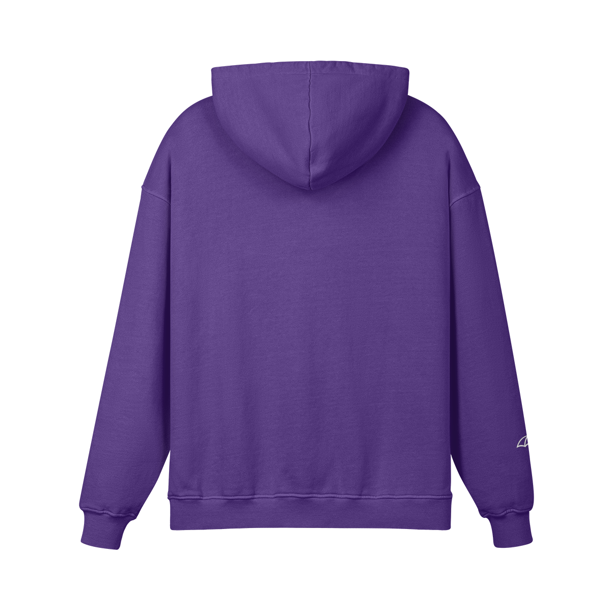 UI Essential Oversized Hoodie